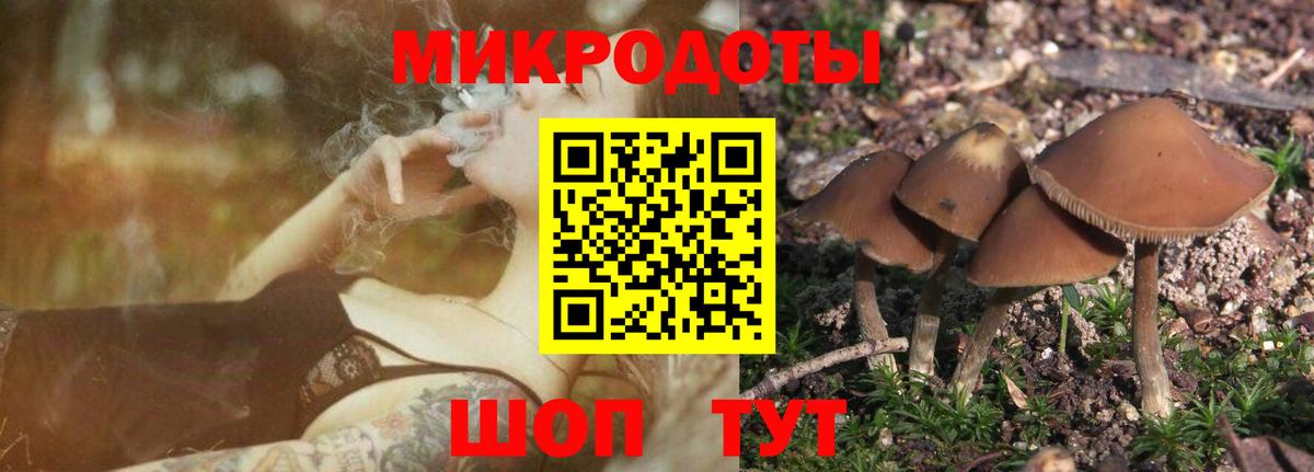 продажа наркотиков  Вход с VPN  Тайшет  Галлюциногенные грибы мухоморы 