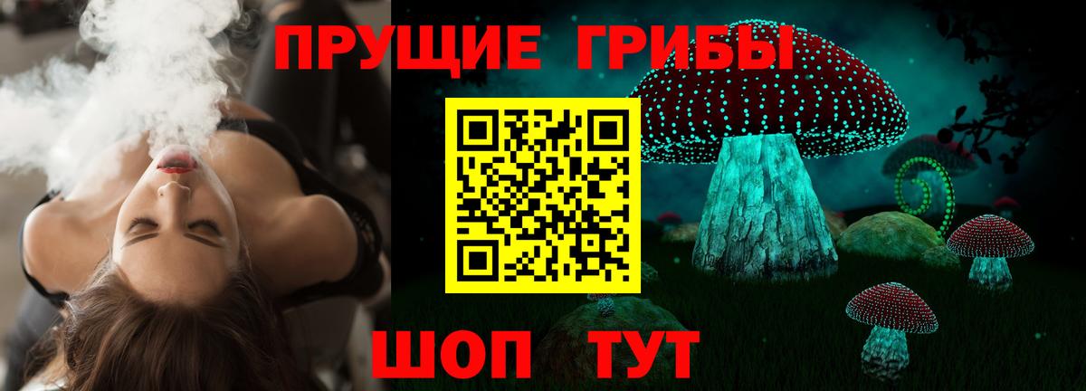 Галлюциногенные грибы Psilocybe Тайшет